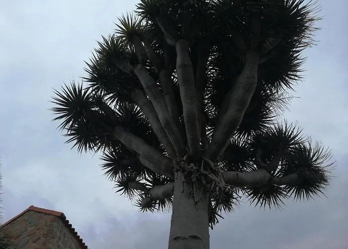Casa El Drago-tafira Baja Privat bolig *