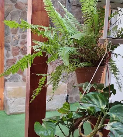Casa El Drago-tafira Baja Homestay Las Palmas de Gran Canaria