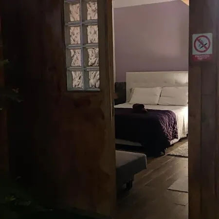 Homestay Casa El Drago-tafira Baja