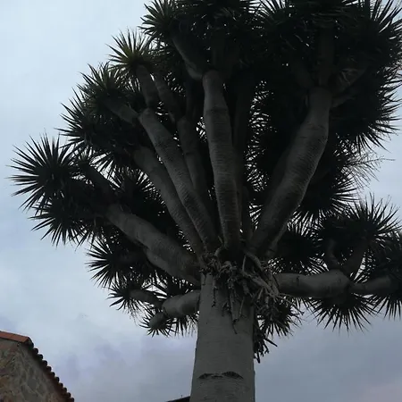 Casa El Drago-tafira Baja Homestay *