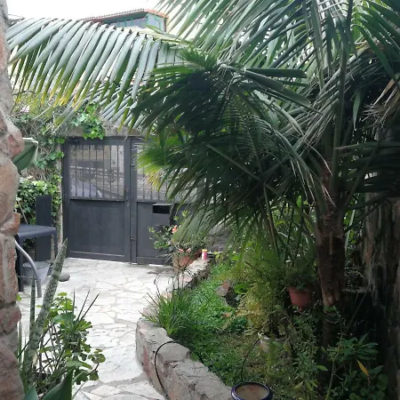 Casa El Drago-tafira Baja Homestay