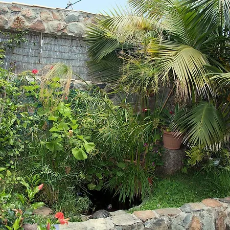 Casa El Drago-tafira Baja Homestay Las Palmas de Gran Canaria