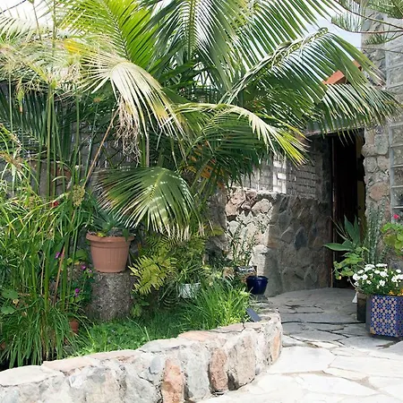 Accommodatie bij particulieren Casa El Drago - Gran Canaria
