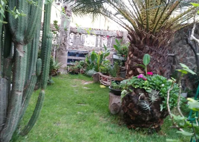 Casa El Drago-tafira Baja Homestay Las Palmas de Gran Canaria