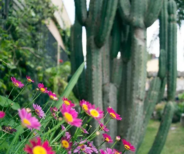 Casa El Drago-tafira Baja Homestay Las Palmas de Gran Canaria
