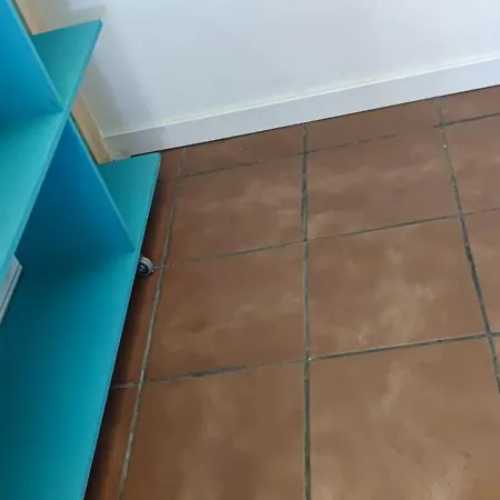 Séjour chez l'habitant Casa El Drago-tafira Baja Las Palmas de Gran Canaria