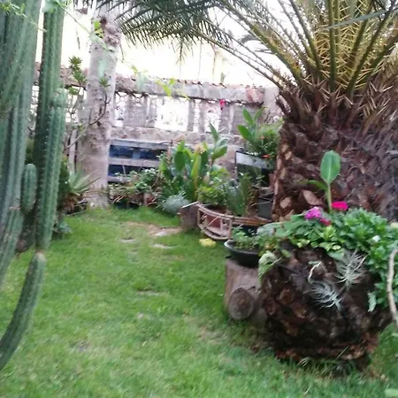 Casa El Drago-tafira Baja Séjour chez l'habitant Las Palmas de Gran Canaria