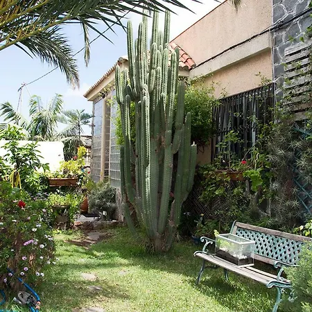 Séjour chez l'habitant Casa El Drago-tafira Baja *