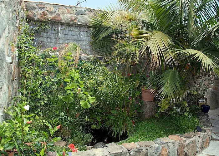 Casa El Drago-tafira Baja Séjour chez l'habitant Las Palmas de Gran Canaria