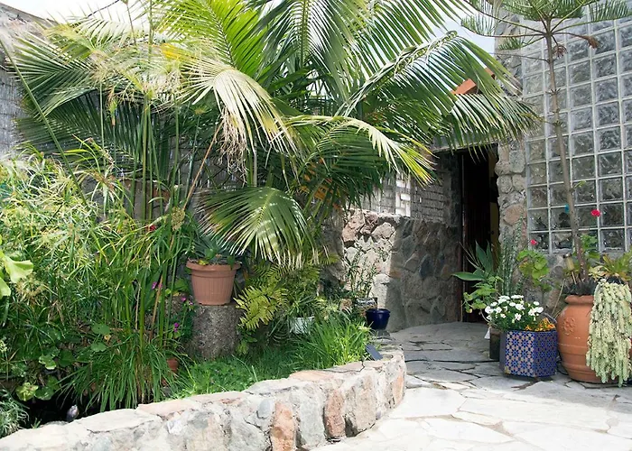 Séjour chez l'habitant Casa El Drago-tafira Baja